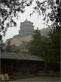 Beijing  (230)